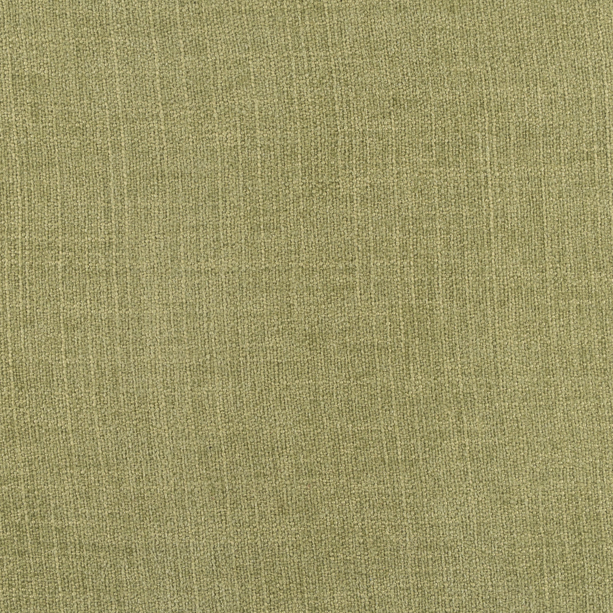 Muse Citron Swatch - Wall Panel Pros