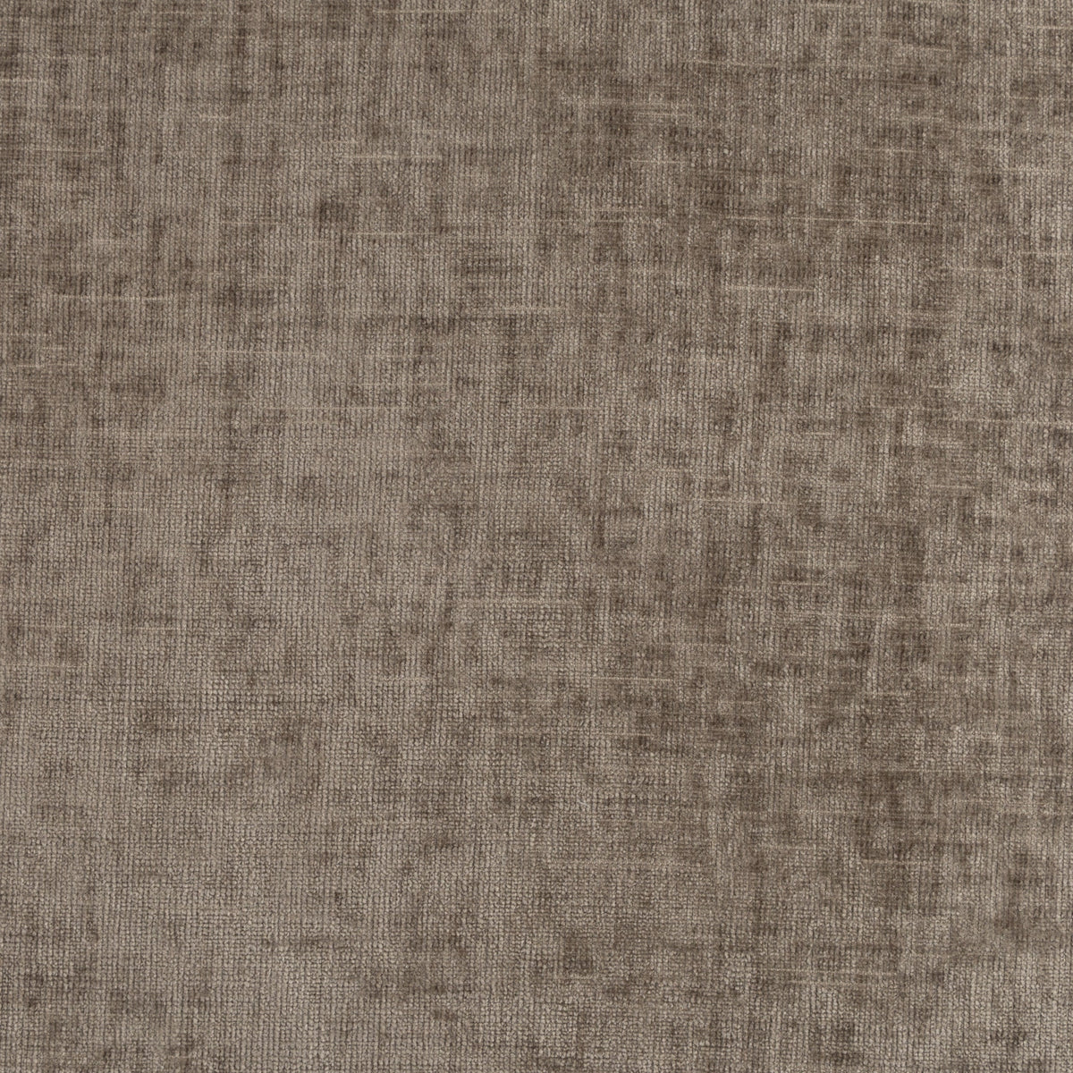 Quarry Fossil Swatch - Wall Panel Pros