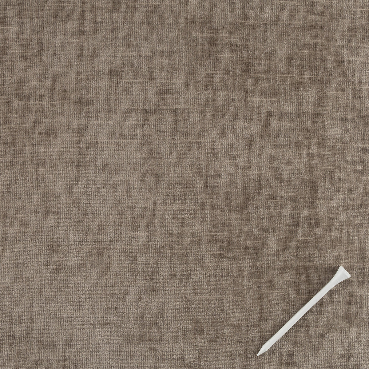 Quarry Fossil Swatch with tee for scale - Wall Panel Pros
