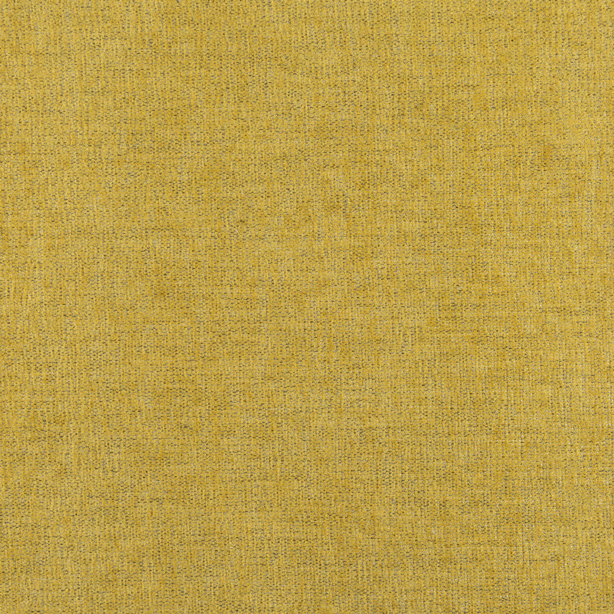 Sol Marigold Swatch - Wall Panel Pros